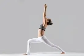 Warrior I (Virabhadrasana I)