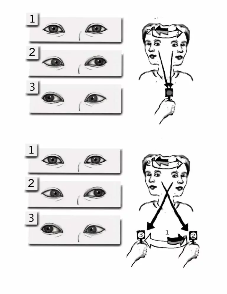 VRT_eye-movements