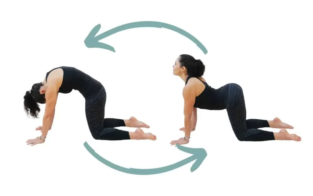 Cat-Cow Stretch (Marjaryasana-Bitilasana)