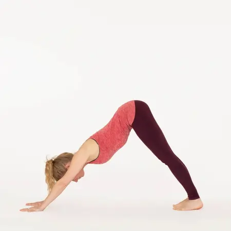 Downward-Facing Dog (Adho Mukha Svanasana)