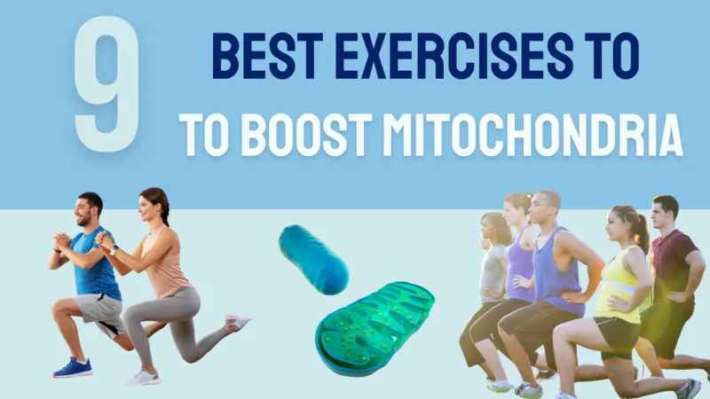 9 Best Exercises to Increase Mitochondria