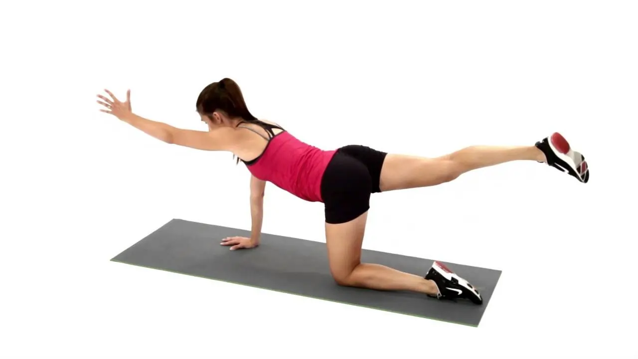 Bird Dog Exercise