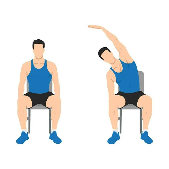 Seated side bend