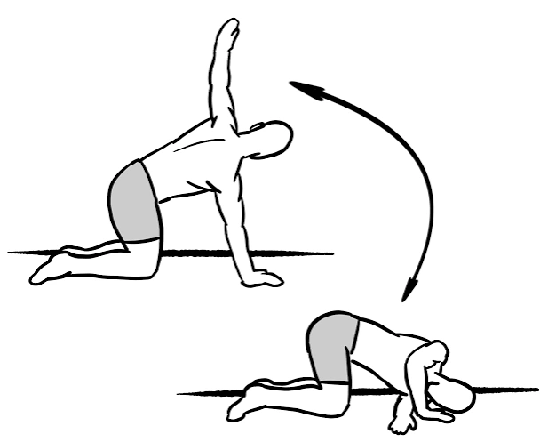 thoracic rotation