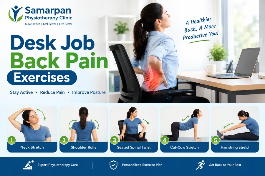 Desk Job Back Pain Exercises