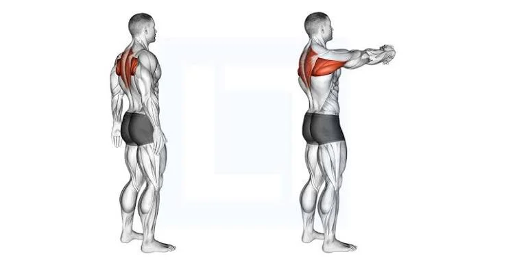 upper back stretch